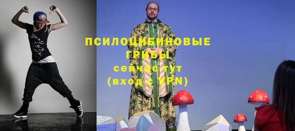 ALPHA-PVP Аркадак