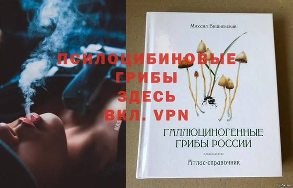 а пвп мука Алзамай