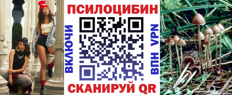 купить закладку  Болгар  Галлюциногенные грибы Cubensis 